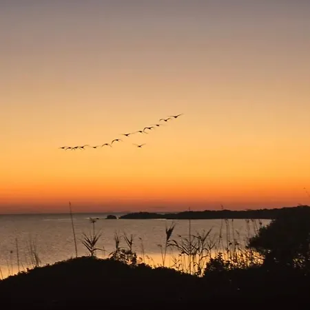 Villa Elsanais Figari (Corsica)