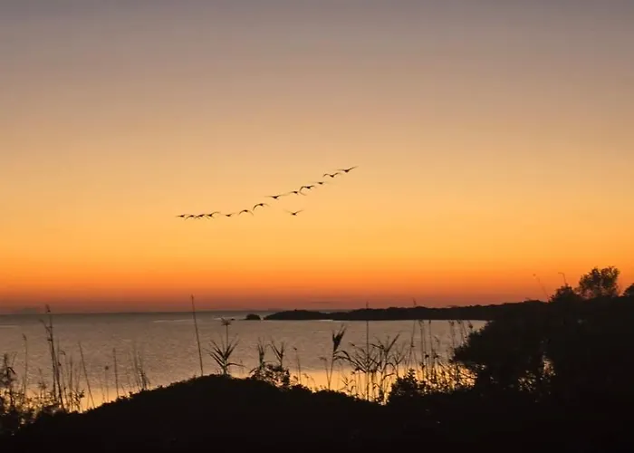 Willa Elsanais Figari (Corsica)